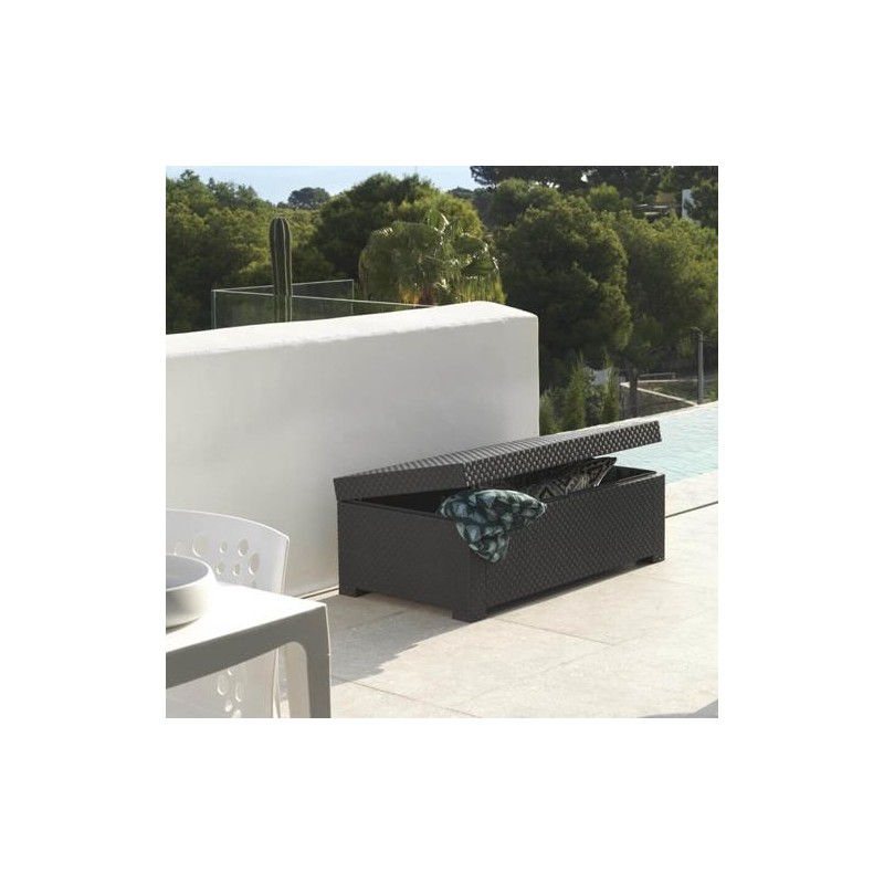 BAUL DIVA GRAFITO  554489