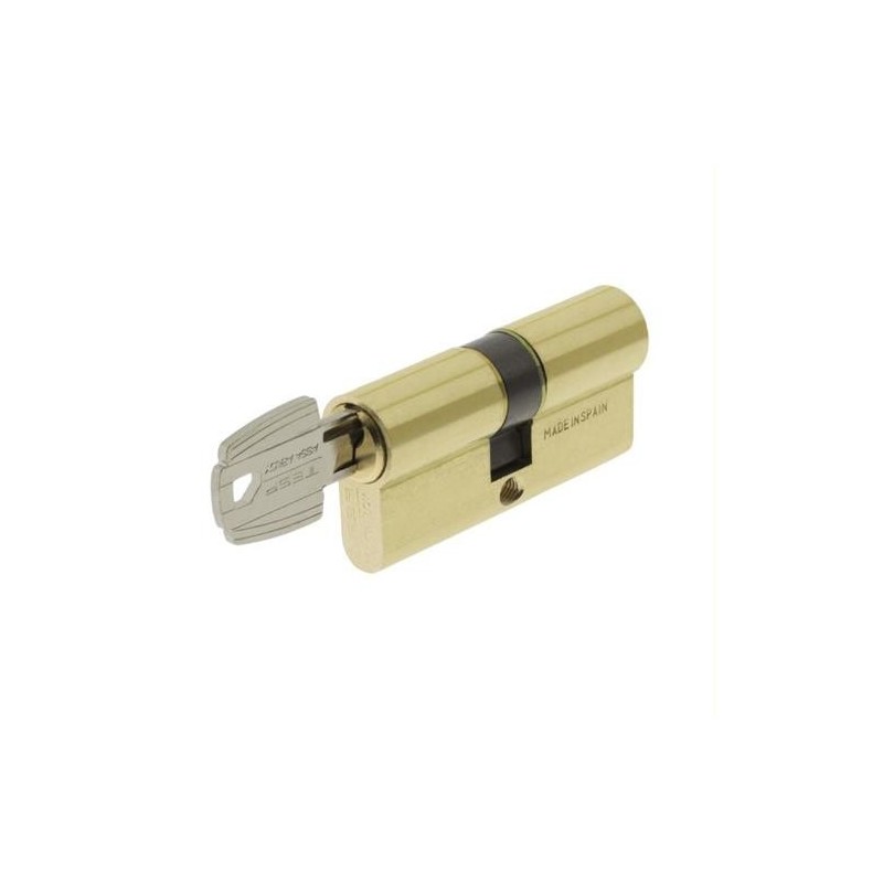 CILINDRO PERFIL 50303030 LATONADO TESA