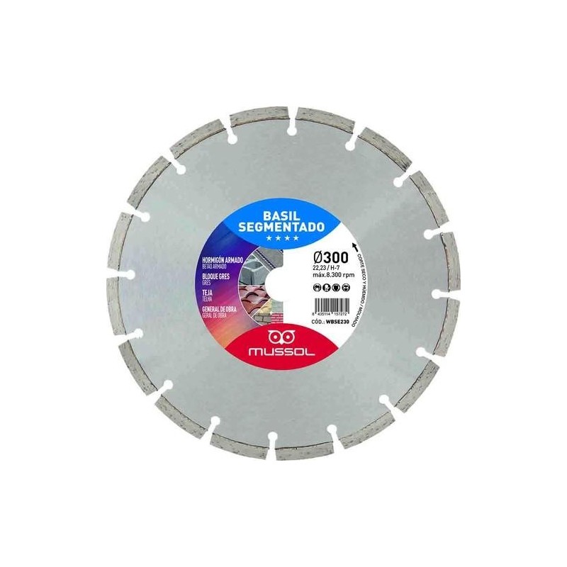 DISCO DIAMANTE BASIL SEGMENTADO 300MM EJE 25,4MM